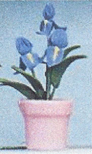 Dollhouse Miniature Blue Iris